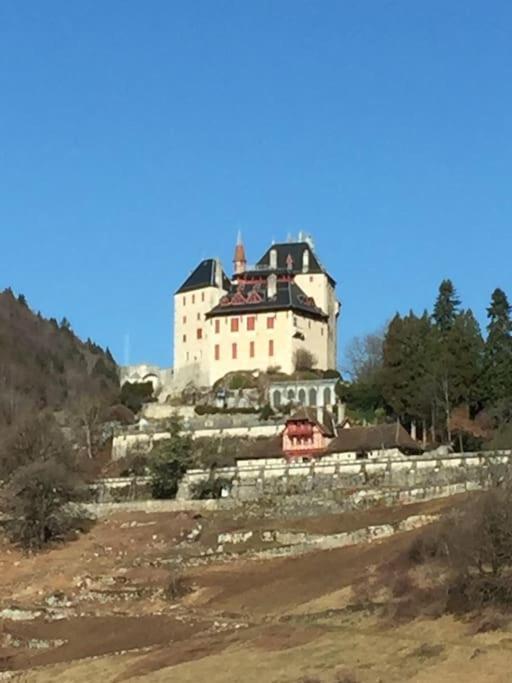 Maison De Vacances 220M2 Vue Lac Et Chateau Menthon-Saint-Bernard Zewnętrze zdjęcie