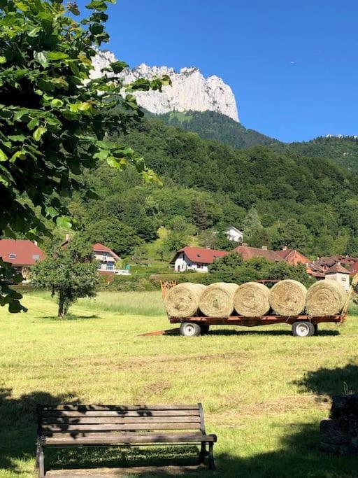 Maison De Vacances 220M2 Vue Lac Et Chateau Menthon-Saint-Bernard Zewnętrze zdjęcie